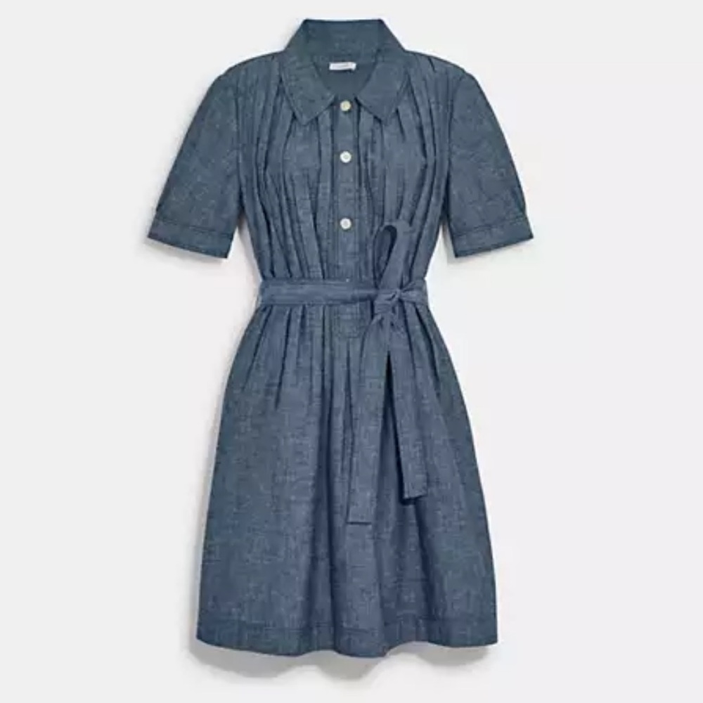 Coach chambray dress